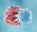 cancer drugs support