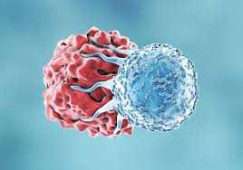 cancer drugs support